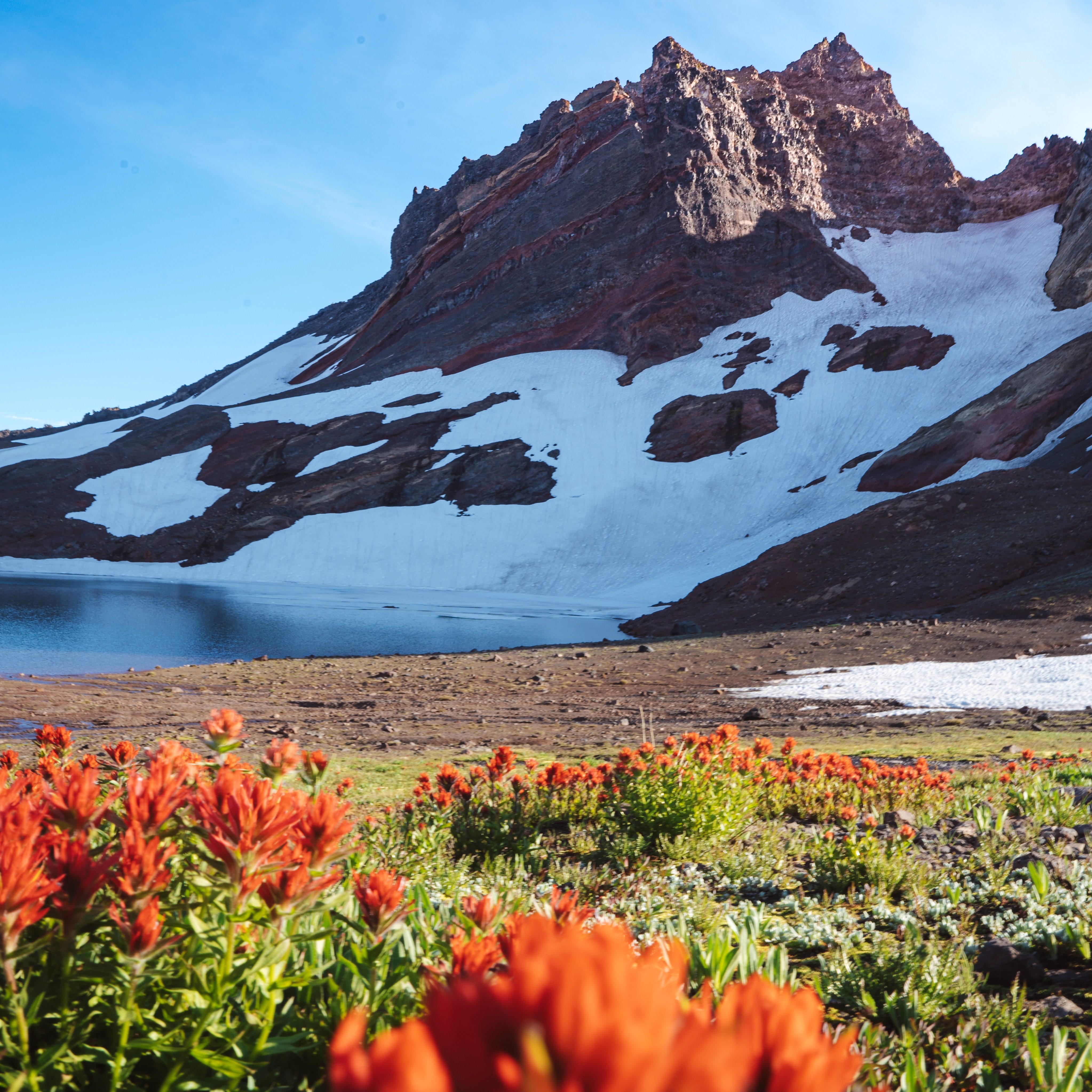 Broken Top and no name lake with paintbrush flowers blooming in the foreground