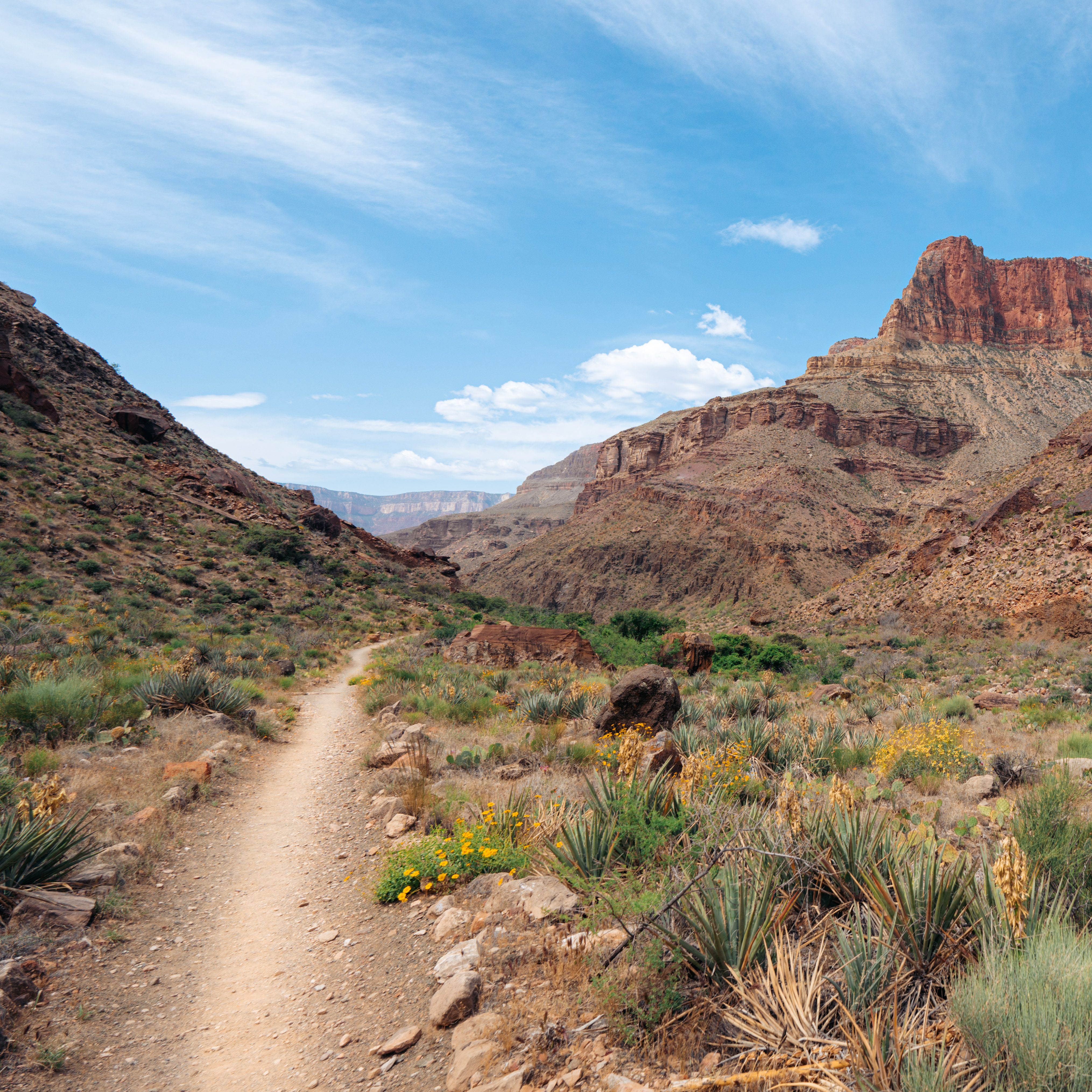 North rim trail facing south in Grand Canyon National Park.